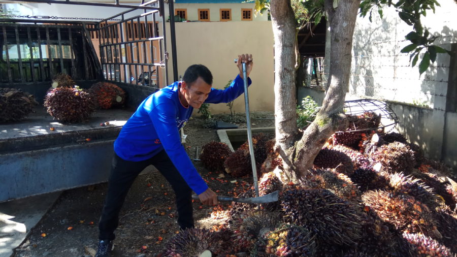 Pak Li, Seorang Legenda dari Trueng Campli