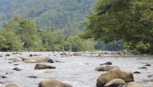 Sungai Mane